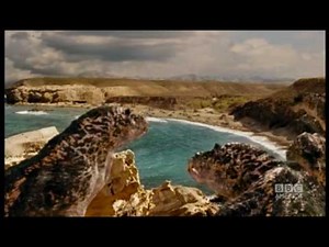 Can Abby be saved? - Primeval - BBC