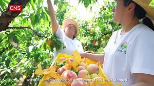 On January 4, 2022, Opinions of the Central Committee of the CPC and...