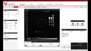 Visionworks western blot software (8.19): Macro functionality - Dr. Martin Auer MBA