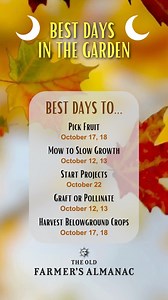 18K views · 234 reactions | Fall is certainly in full swing, meaning that the days are shorter and nights are colder. It's time to switch gears and get after those fall gardening tasks! According to the Moon's cycle, here are the best days to do ALL the things in the garden this October! Almanac.com/BestDays | The Old Farmers Almanac | Facebook