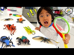 Ryan's Bug Catching Pretend Play and Learn Insect Facts for kids - Videos For Kids