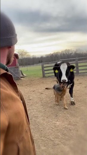 He Grew From Her Milk Since Puppyhood 💞