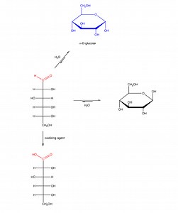 Soy: Notes on Reducing Sugars and the Millard Reaction in Relation to Human Health and heat damage to soy - Earthworm Express