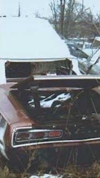 He Found This In A Junkyard…