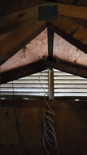 How to boost your cell signal at home with the weBoost cell phone signal booster