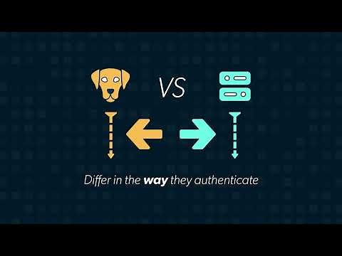 Kerberos vs. LDAP: What’s the Difference?