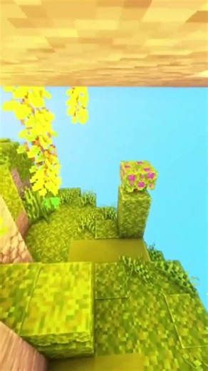 Mango Story Part 3: The Final Chapter