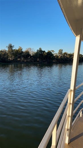 The best part of staying on a floating hotel? You can sit back, relax, and soak in the beauty of the river and its wildlife 🩵 #MurrayRiver #VisitRiverland #SeeSouthAustralia #Loxton | The Murray River Queen
