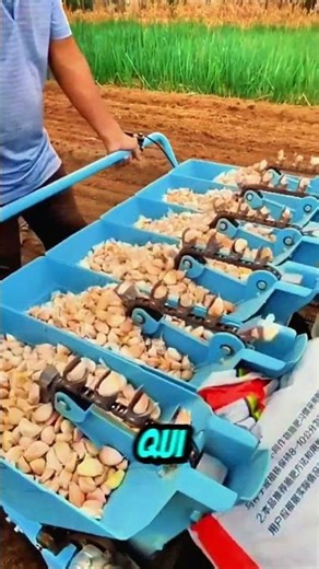 The garlic planting machine that transforms agricultural work!