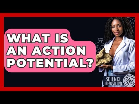 What Is An Action Potential? - Science Through Time