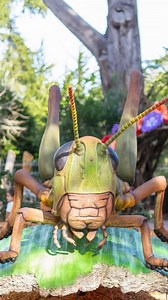 2K views · 2K reactions | Giant animatronic insects come to life in Bugtopia! Float your own boat with Riveropolis, strike a pose with a seven-spot ladybird, & so much more. Don't miss Spring in the Garden, only through 4/28! | California Academy of Sciences | Facebook