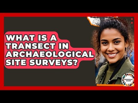 What Is A Transect In Archaeological Site Surveys? - Anthropology Insights