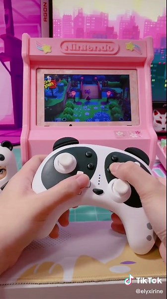 StogaGame Panda Controller Unboxing & Review | Nintendo Switch Accessories