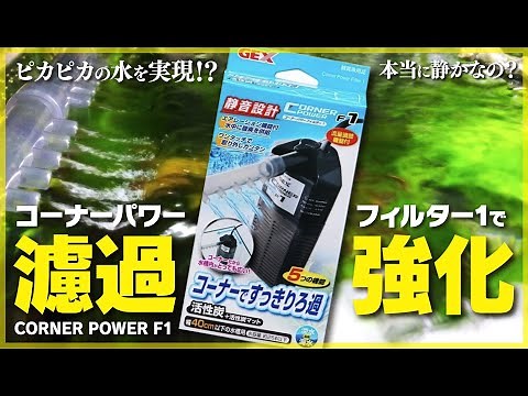 GEX コーナーパワーF1で濾過強化! ピカピカの水に! サブフィルターとしても使える静かな濾過フィルターでピカピカの水を目指します。今より濾過能力をアップさせたい方におすすめ！