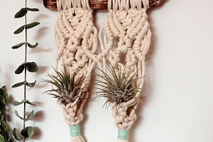 10 Easy DIY Macrame Air Plant Hanger Patterns - Tillandsia Macrame Holders | Macrame for Beginners