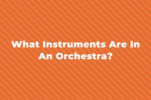 What Instruments Are In An Orchestra?