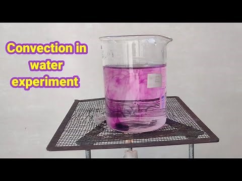 convection in water experiment using potassium permagnate #scienceexperiment
