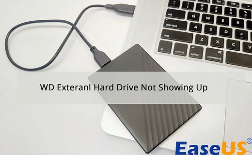 Fix WD External Hard Drive Not Showing Up/Recognized Error [2025 Tutorial]
