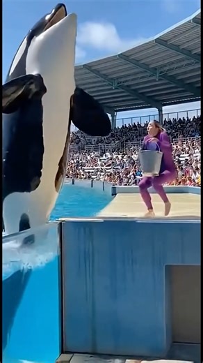 Subhash Mandal on Instagram: "Types of Whales You Should Know 🐋 Follow @speakwithsubhash for daily informative reel . . . . . . [english speaking practice, english speaking, english speaking course, learn english, how to speak english, speaking english, speak english fluently, learn english speaking, english conversation, how to learn english, spoken english] #fluent #attitude #postiveattitude #instareels #learnenglish #englishspeaking #speakenglish #englishcoach #speakwithsubhash #fluentenglis