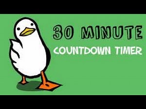 30 minute countdown timer walking duck