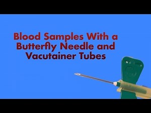 Collecting Blood Samples with a Butterfly Needle and Vacutainer Tubes