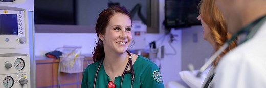 Bachelor's in Nursing (BSN) Degree