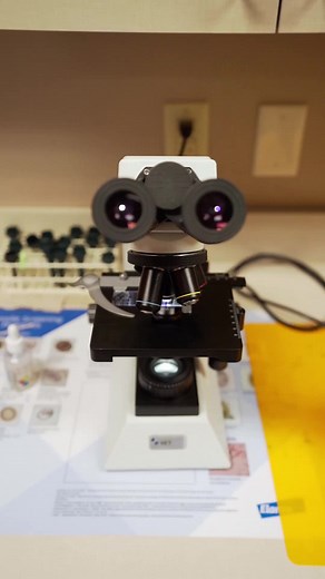 Veterinary Medicine: How to Read Urine Sediment Cytology