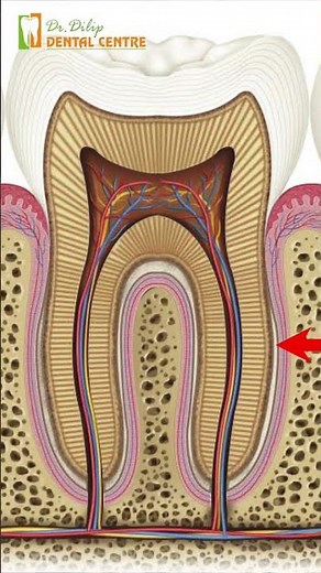 Understanding Root Canal Treatment: Causes of Pain and What to Expect