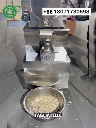 500kg/h Pasta Production Machine | Industrial Pasta Extruder in Action Orecchiette Fettuccine Penne