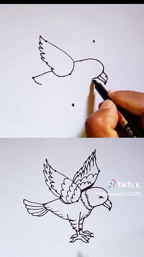 How to Draw an Eagle with Dots: Step-by-Step Guide