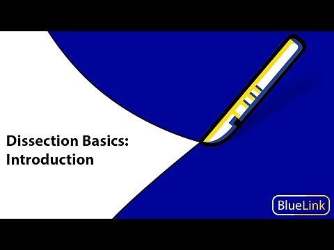 Dissection Basics | Introduction