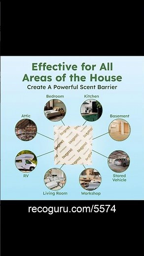 BugMD Vamoose: Natural Rodent Repellent - Does it WORK?!