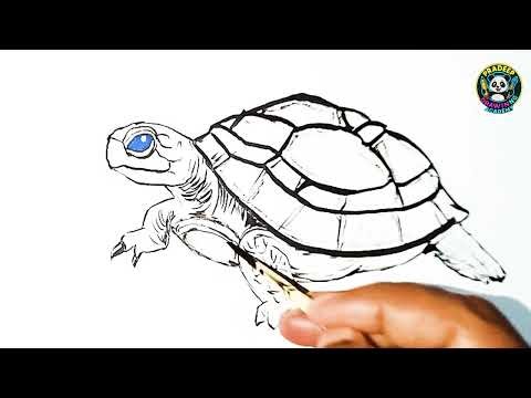 how to draw tortoise || tortoise sketching || tortoise simple easy step by step tutorial