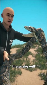 How To Catch A Python 🤔