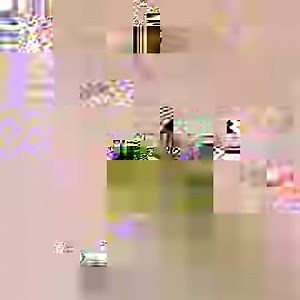 54K views · 342 reactions | Population Density by Countries and Territories. Source: UN. | VGraphs | Facebook