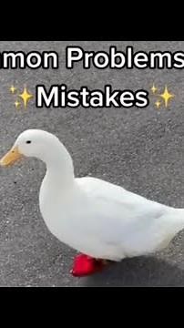 How to Pick Up a Duck