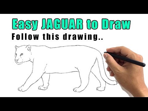 How to Draw a Jaguar With This Easy Jaguar Drawing Step by Step Sketch for Beginners