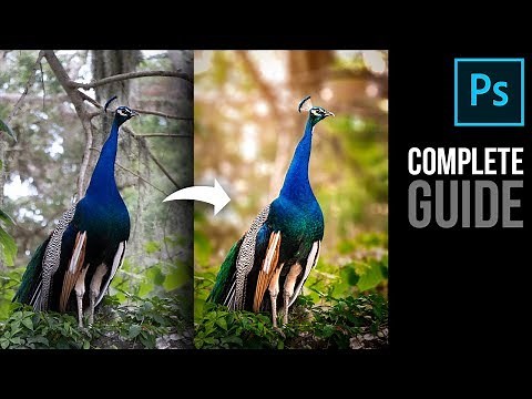 Complete Photoshop Guide: Blurring the Background and Adding Bokeh
