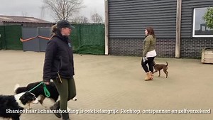 8.4K views · 130 reactions | Lady is een onzekere dame van bijna 1...
