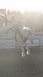 Iykyk 🔥 #powderriverrodeo @cinchjeans @logancoachtrailers @americanhatco @ak_earth_movers_inc @glacier45distillery @agri_bestfeeds @priefert | Powder River Rodeo LLC