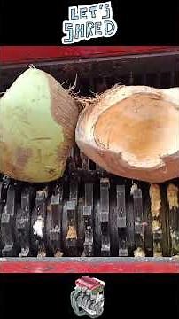 BEST SHREDDING MOMENTS!