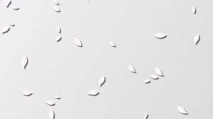 Cycle, Effects, Motion Graphics. Free Stock Video