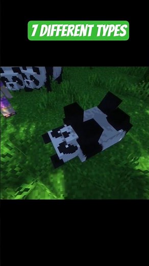 HOW MANY TYPES of PANDAS have you SEEN in Minecraft? #panda #minecraft