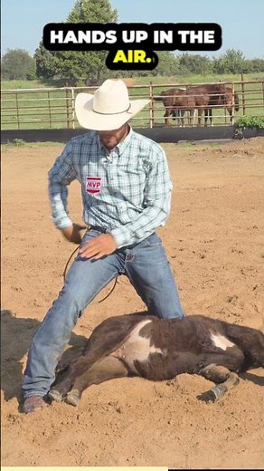 How To Tie The Rope : Calf Roping Tips