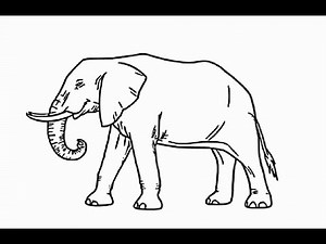 How to draw "African elephant full body" pencil drawing step by step