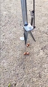 Seed planting machine. #shorts #short #shortsfeed