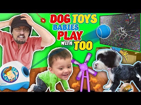 DOG TOYS vs TV! FUNnel Family Vlog