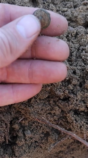 What a beautiful button!! #Buttons #history #excited | Gone Diggin