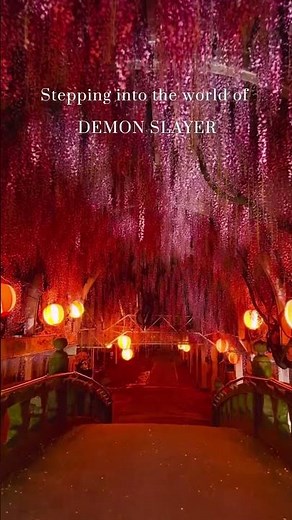 The Great Wisteria of Nakayama One of the most famous wisteria of Japan 🇯🇵