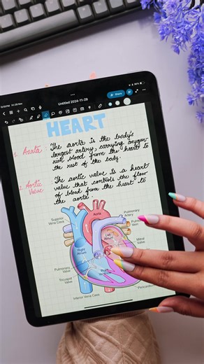 Notewise: The Best Award-Winning Note-Taking App